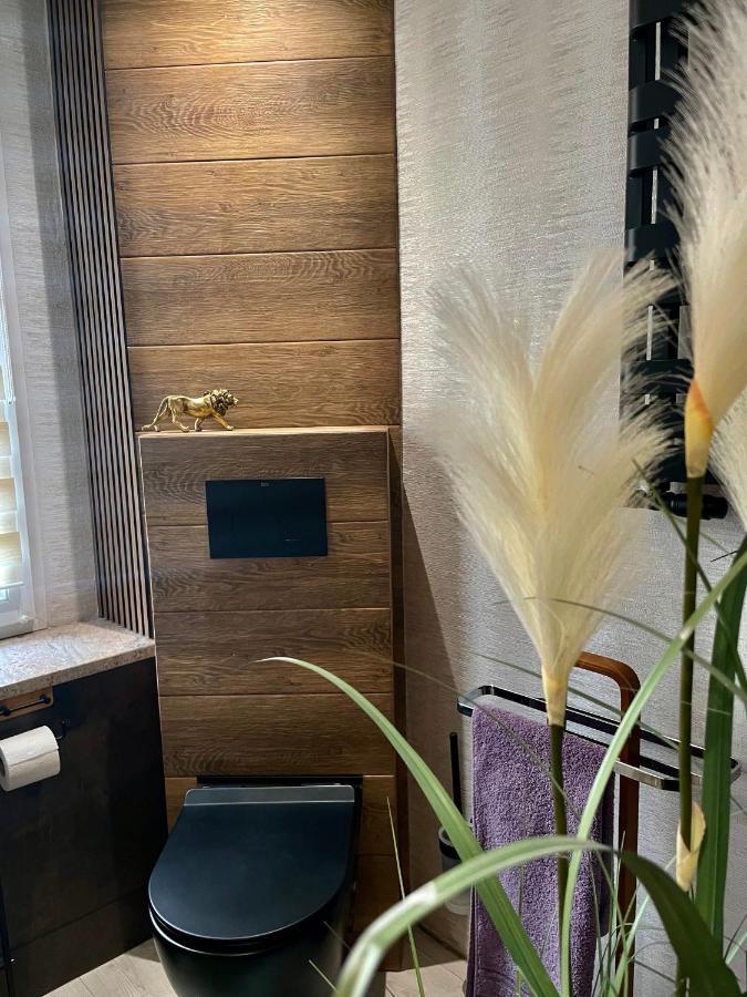 Pod Lwem Apartment Koscierzyna Ngoại thất bức ảnh